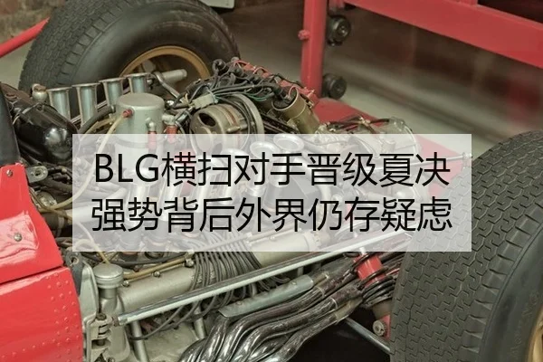 BLG横扫对手晋级夏决 强势背后外界仍存疑虑
